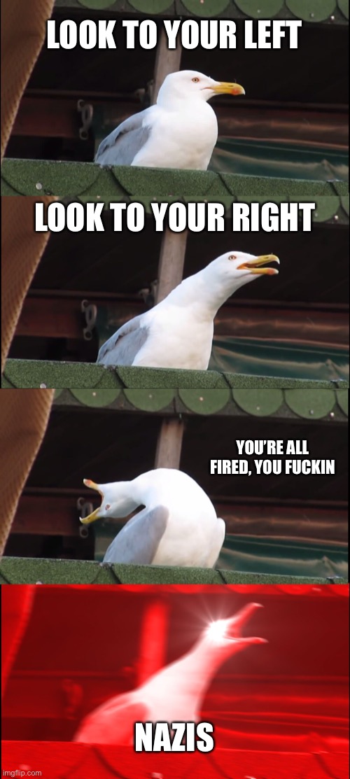 Inhaling Seagull Meme | LOOK TO YOUR LEFT LOOK TO YOUR RIGHT YOU’RE ALL FIRED, YOU FUCKIN NAZIS | image tagged in memes,inhaling seagull | made w/ Imgflip meme maker