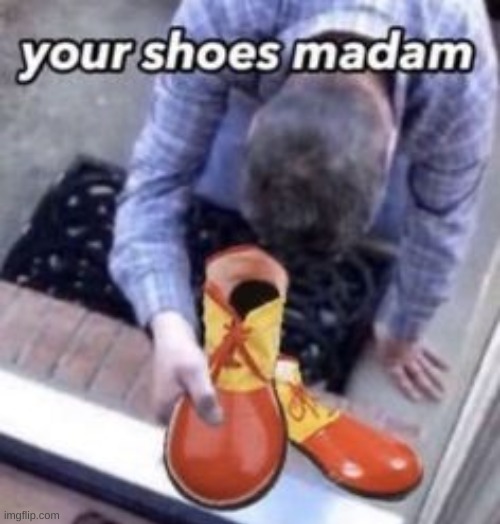 your shoes madam | image tagged in your shoes madam | made w/ Imgflip meme maker