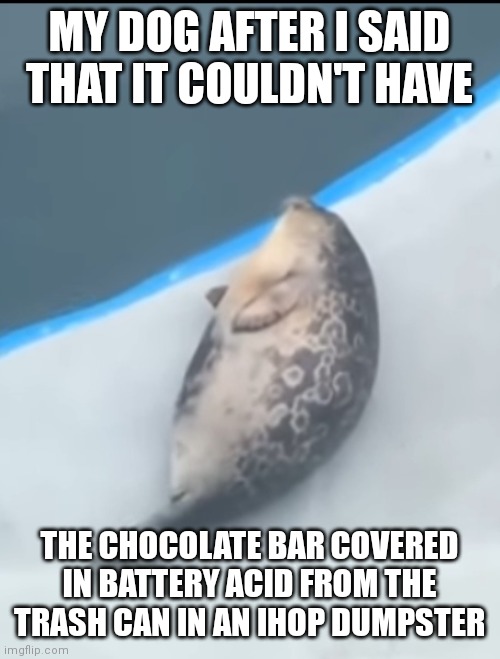 MY DOG AFTER I SAID THAT IT COULDN'T HAVE; THE CHOCOLATE BAR COVERED IN BATTERY ACID FROM THE TRASH CAN IN AN IHOP DUMPSTER | image tagged in walrus no tusk,ded | made w/ Imgflip meme maker