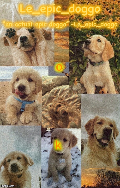 Doggo temp by doggo. Wait what that’s confusing | o; k | image tagged in doggo temp by doggo wait what that s confusing | made w/ Imgflip meme maker