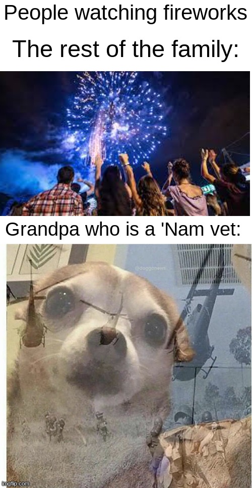 oof for grandpa | People watching fireworks; The rest of the family:; Grandpa who is a 'Nam vet: | image tagged in ptsd chihuahua | made w/ Imgflip meme maker