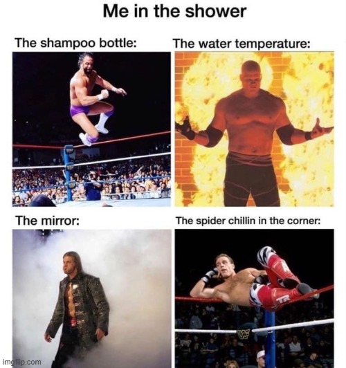 That be true sometimes | image tagged in wwe,memes,funny | made w/ Imgflip meme maker