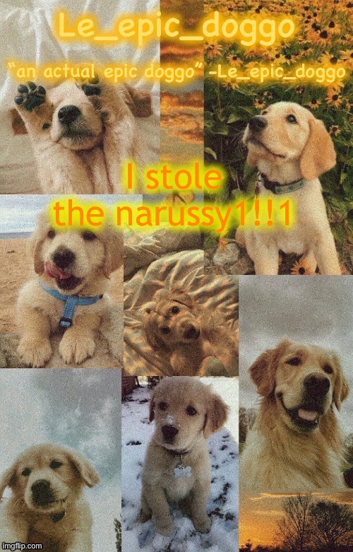 Doggo temp by doggo. Wait what that’s confusing | I stole the narussy1!!1 | image tagged in doggo temp by doggo wait what that s confusing | made w/ Imgflip meme maker