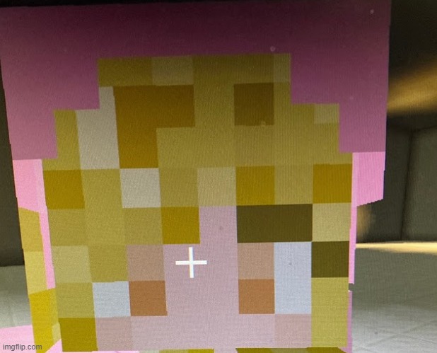 stop staring at me punk | image tagged in minecraft | made w/ Imgflip meme maker