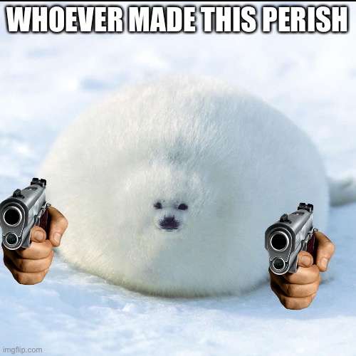 WHOEVER MADE THIS PERISH | made w/ Imgflip meme maker