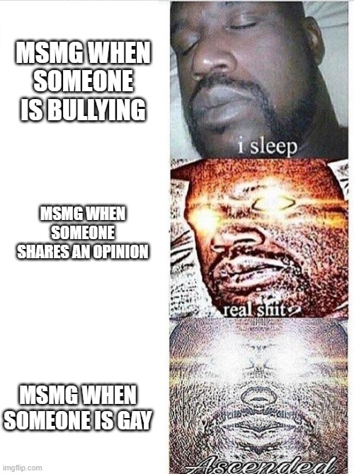 Msmg be like | MSMG WHEN SOMEONE IS BULLYING; MSMG WHEN SOMEONE SHARES AN OPINION; MSMG WHEN SOMEONE IS GAY | image tagged in i sleep meme with ascended template | made w/ Imgflip meme maker