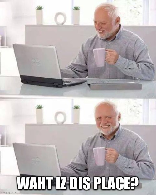 Hide the Pain Harold | WAHT IZ DIS PLACE? | image tagged in memes,hide the pain harold | made w/ Imgflip meme maker
