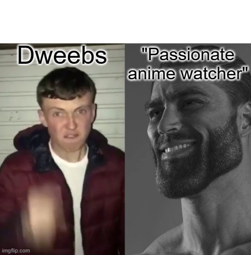 Average Fan vs Average Enjoyer | Dweebs; "Passionate anime watcher" | image tagged in average fan vs average enjoyer | made w/ Imgflip meme maker