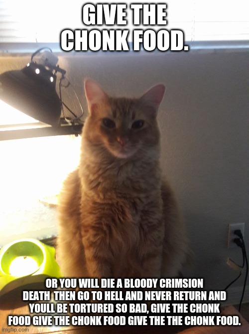 chonk | GIVE THE CHONK FOOD. OR YOU WILL DIE A BLOODY CRIMSION DEATH  THEN GO TO HELL AND NEVER RETURN AND YOULL BE TORTURED SO BAD, GIVE THE CHONK FOOD GIVE THE CHONK FOOD GIVE THE THE CHONK FOOD. | image tagged in cat | made w/ Imgflip meme maker