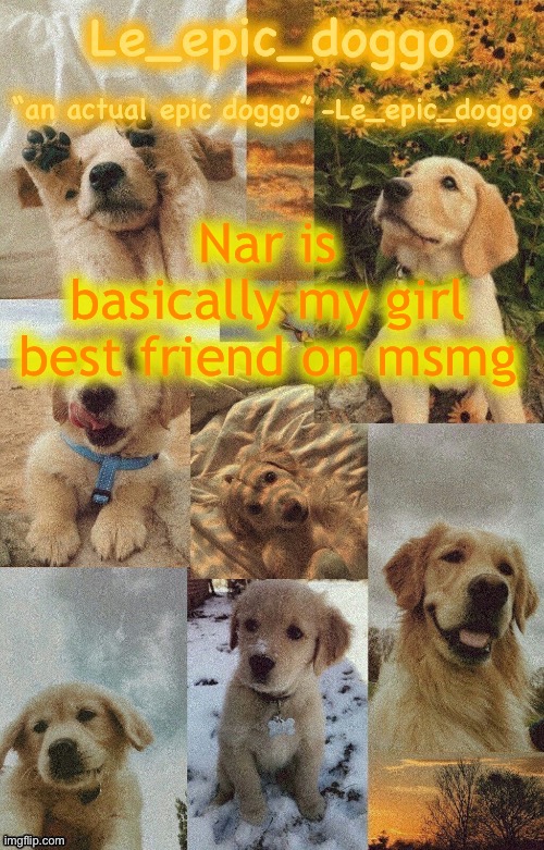 Doggo temp by doggo. Wait what that’s confusing | Nar is basically my girl best friend on msmg | image tagged in doggo temp by doggo wait what that s confusing | made w/ Imgflip meme maker