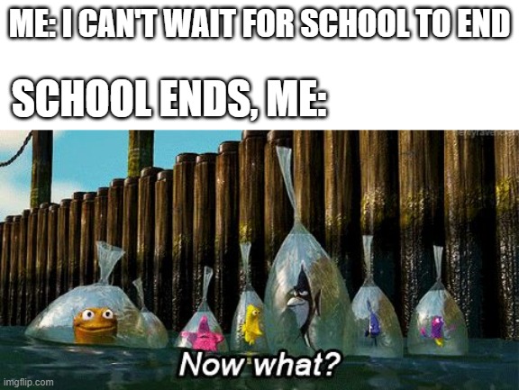 so bored | ME: I CAN'T WAIT FOR SCHOOL TO END; SCHOOL ENDS, ME: | image tagged in now what,school,meme | made w/ Imgflip meme maker