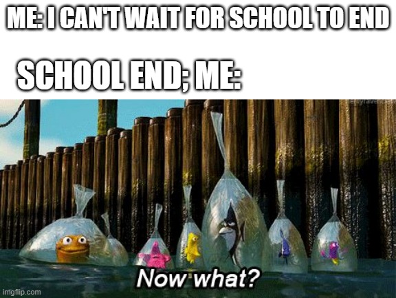 Now What? | ME: I CAN'T WAIT FOR SCHOOL TO END; SCHOOL END; ME: | image tagged in now what,meme,school | made w/ Imgflip meme maker
