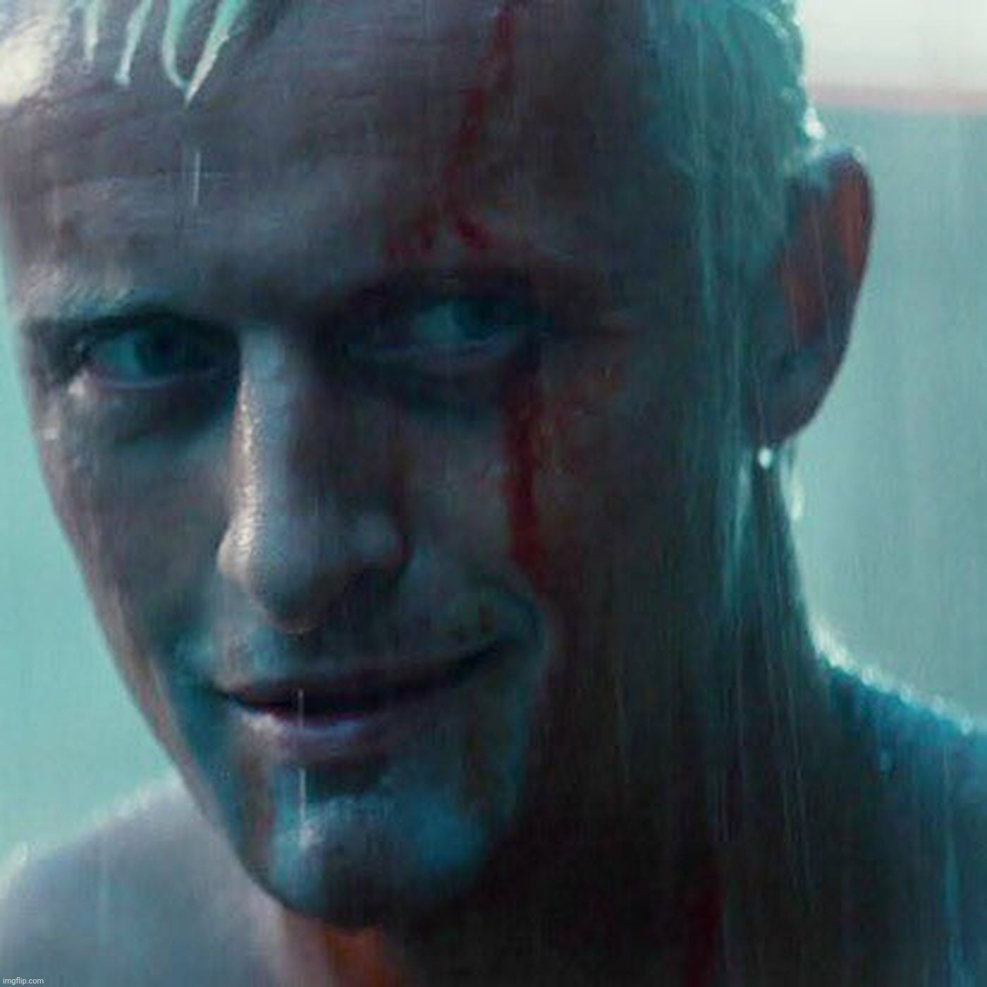 Blade Runner, Roy Batty, like tears in the rain | image tagged in blade runner,roy batty,rutger hauer,like tears in the rain | made w/ Imgflip meme maker