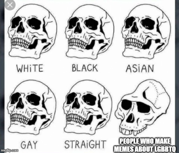 probably gonna get cancelled on twitter but |  PEOPLE WHO MAKE MEMES ABOUT LGBBTQ | image tagged in white black asian gay straight skull template | made w/ Imgflip meme maker