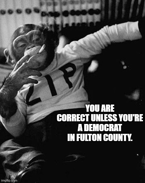 Zip the Smoking Chimp | YOU ARE CORRECT UNLESS YOU'RE A DEMOCRAT IN FULTON COUNTY. | image tagged in zip the smoking chimp | made w/ Imgflip meme maker