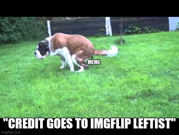 Dog shit | MEME "CREDIT GOES TO IMGFLIP LEFTIST" | image tagged in dog shit | made w/ Imgflip meme maker