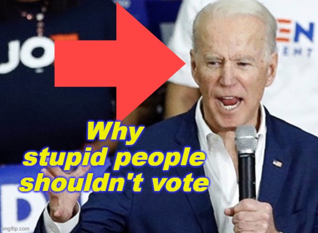 Why stupid people shouldn't vote | Why
stupid people
shouldn't vote | image tagged in poor joe biden | made w/ Imgflip meme maker