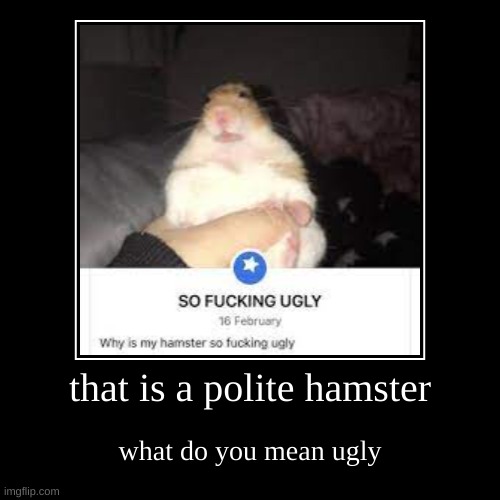 what do you mean by that | that is a polite hamster | what do you mean ugly | image tagged in funny,demotivationals,hamster,adorable | made w/ Imgflip demotivational maker