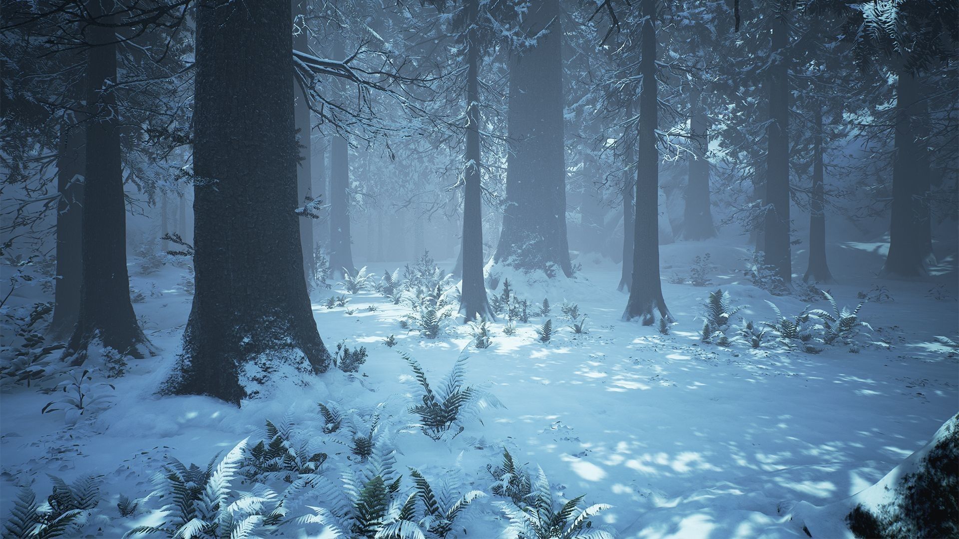 High Quality Winter forest aesthetic background Blank Meme Template