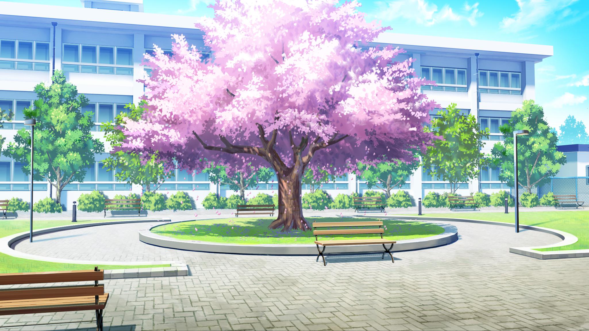 Vườn anh đào nở rực rỡ phủ đầy toàn bộ khung cảnh trường học anime trong hình ảnh này sẽ đưa bạn đến một thế giới giản dị nhưng không kém phần thơ mộng.