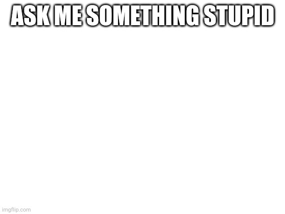 Blank White Template | ASK ME SOMETHING STUPID | image tagged in blank white template | made w/ Imgflip meme maker