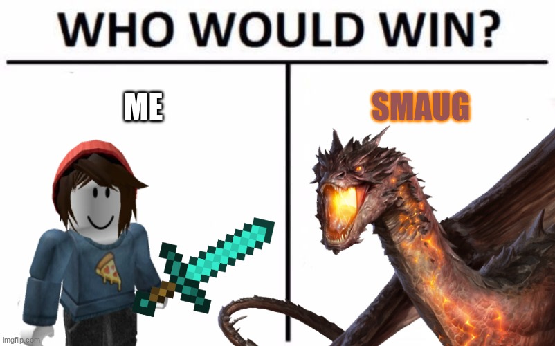 Me vs Smaug | ME; SMAUG | image tagged in ocs,the hobbit,dragon,smaug,who would win,crossover | made w/ Imgflip meme maker