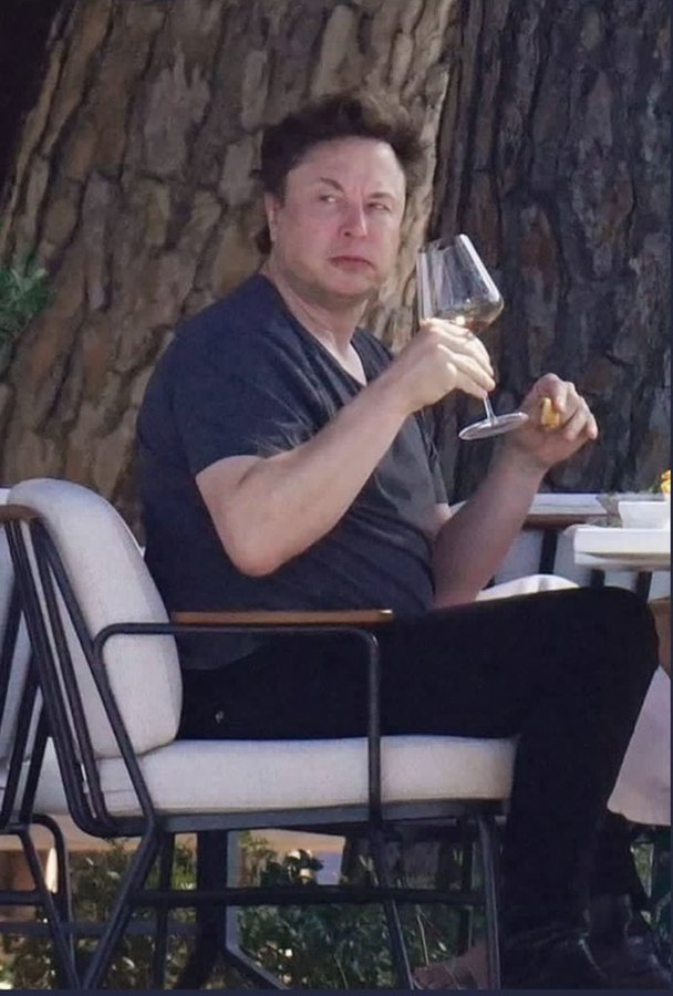 High Quality Elon as Wine Mom Blank Meme Template