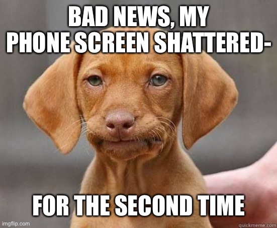 Welp | BAD NEWS, MY PHONE SCREEN SHATTERED-; FOR THE SECOND TIME | image tagged in mfw welp | made w/ Imgflip meme maker