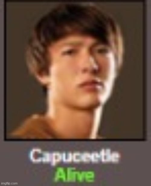 hmm yes cappucceetle | made w/ Imgflip meme maker