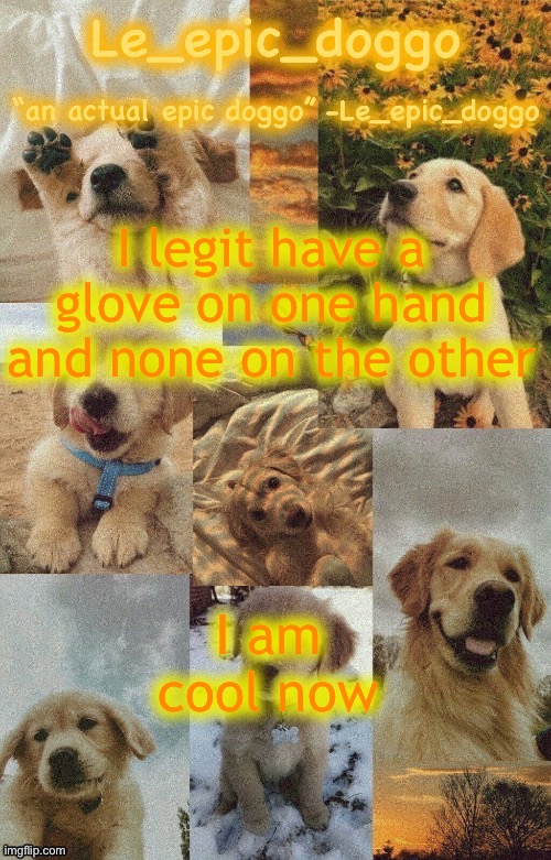 Doggo temp by doggo. Wait what that’s confusing | I legit have a glove on one hand and none on the other; I am cool now | image tagged in doggo temp by doggo wait what that s confusing | made w/ Imgflip meme maker