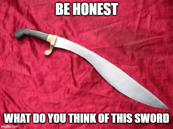Makhaira | BE HONEST; WHAT DO YOU THINK OF THIS SWORD | image tagged in makhaira | made w/ Imgflip meme maker