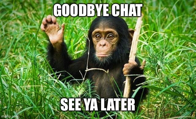 Gn | GOODBYE CHAT; SEE YA LATER | image tagged in goodbye | made w/ Imgflip meme maker