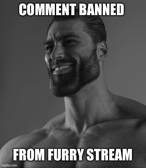 h | COMMENT BANNED; FROM FURRY STREAM | image tagged in giga chad | made w/ Imgflip meme maker
