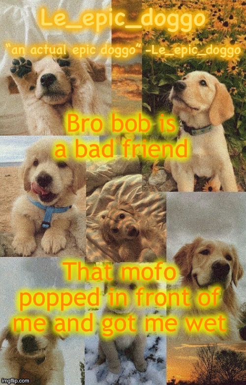 Doggo temp by doggo. Wait what that’s confusing | Bro bob is a bad friend; That mofo popped in front of me and got me wet | image tagged in doggo temp by doggo wait what that s confusing | made w/ Imgflip meme maker