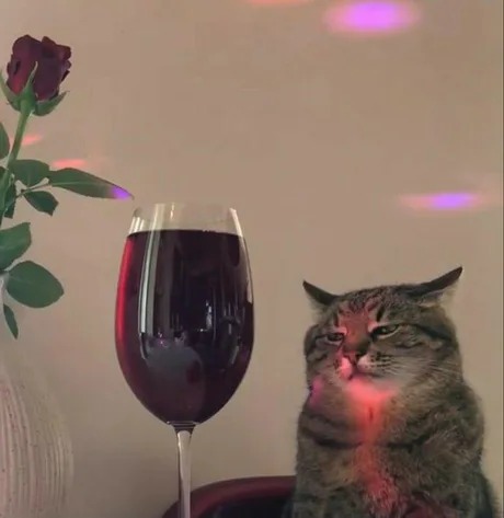 cat with wine Blank Meme Template