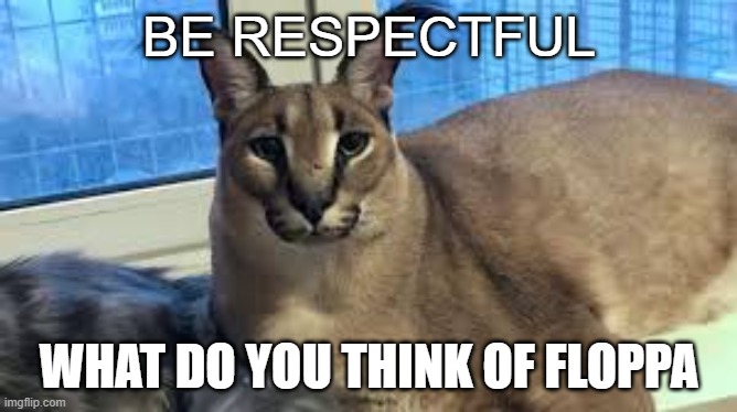 Floppa | BE RESPECTFUL; WHAT DO YOU THINK OF FLOPPA | image tagged in floppa | made w/ Imgflip meme maker