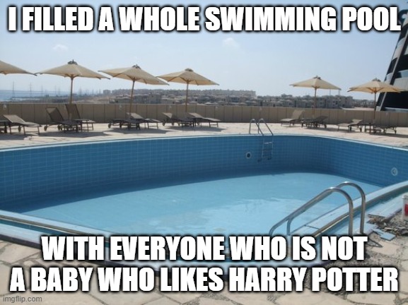 Empty swimming pool | I FILLED A WHOLE SWIMMING POOL; WITH EVERYONE WHO IS NOT A BABY WHO LIKES HARRY POTTER | image tagged in empty swimming pool | made w/ Imgflip meme maker