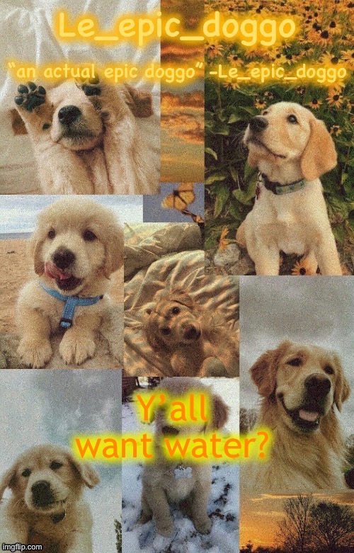 Doggo temp by doggo. Wait what that’s confusing | Y’all want water? | image tagged in doggo temp by doggo wait what that s confusing | made w/ Imgflip meme maker