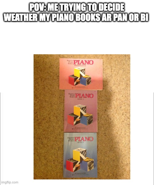 Interesting title | POV: ME TRYING TO DECIDE WEATHER MY PIANO BOOKS AR PAN OR BI | image tagged in white background | made w/ Imgflip meme maker