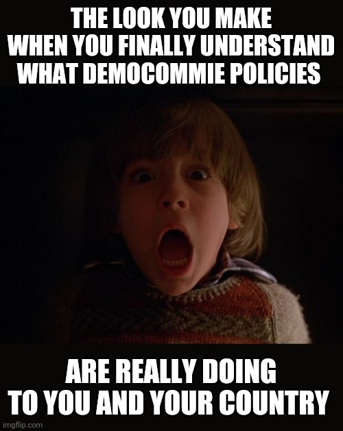 Terrifying | THE LOOK YOU MAKE WHEN YOU FINALLY UNDERSTAND WHAT DEMOCOMMIE POLICIES; ARE REALLY DOING TO YOU AND YOUR COUNTRY | image tagged in democratic socialism,bs,its time to stop,libtards,destruction | made w/ Imgflip meme maker