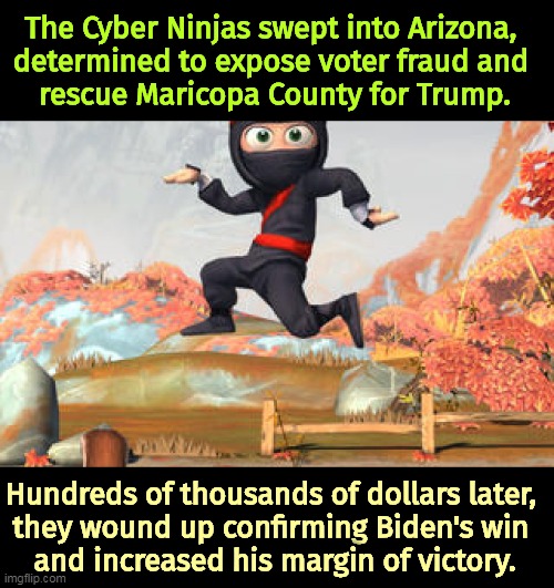Trump lost every state he challenged. | The Cyber Ninjas swept into Arizona, 
determined to expose voter fraud and 
rescue Maricopa County for Trump. Hundreds of thousands of dollars later, 
they wound up confirming Biden's win 
and increased his margin of victory. | image tagged in cyber,voter fraud,election fraud,fantasy,trump,lost | made w/ Imgflip meme maker