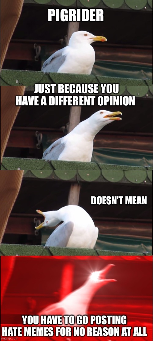 … | PIGRIDER; JUST BECAUSE YOU HAVE A DIFFERENT OPINION; DOESN’T MEAN; YOU HAVE TO GO POSTING HATE MEMES FOR NO REASON AT ALL | image tagged in memes,inhaling seagull | made w/ Imgflip meme maker