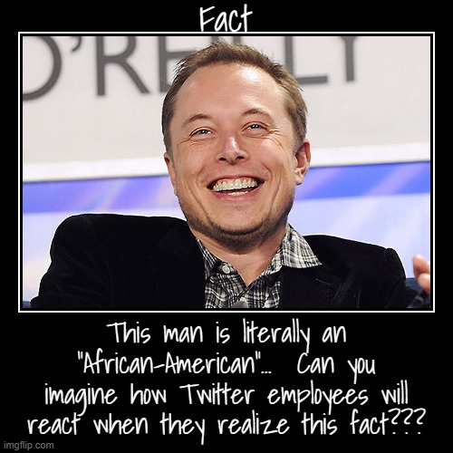 True Story... | image tagged in funny,demotivationals,elon musk,african,american,for real | made w/ Imgflip demotivational maker