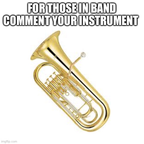 :) | FOR THOSE IN BAND COMMENT YOUR INSTRUMENT | image tagged in band | made w/ Imgflip meme maker