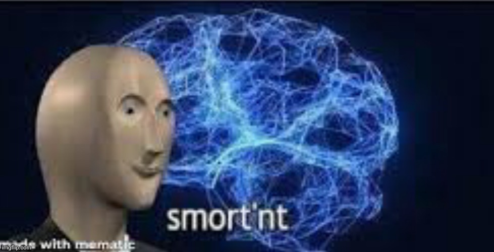 Smort’nt | image tagged in smort nt | made w/ Imgflip meme maker