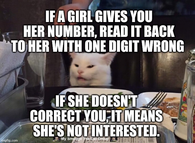 IF A GIRL GIVES YOU HER NUMBER, READ IT BACK TO HER WITH ONE DIGIT WRONG; IF SHE DOESN'T CORRECT YOU, IT MEANS SHE'S NOT INTERESTED. | image tagged in smudge the cat | made w/ Imgflip meme maker