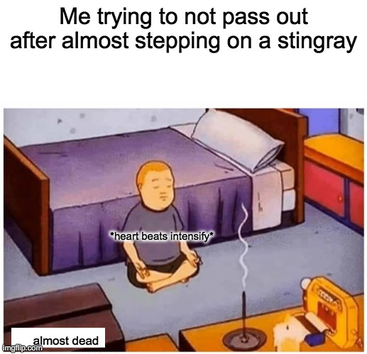 Heart Attack moment | Me trying to not pass out after almost stepping on a stingray; *heart beats intensify*; almost dead | image tagged in heart attack,panik | made w/ Imgflip meme maker
