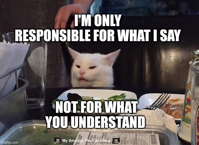 I'M ONLY RESPONSIBLE FOR WHAT I SAY; NOT FOR WHAT YOU UNDERSTAND | image tagged in smudge the cat | made w/ Imgflip meme maker