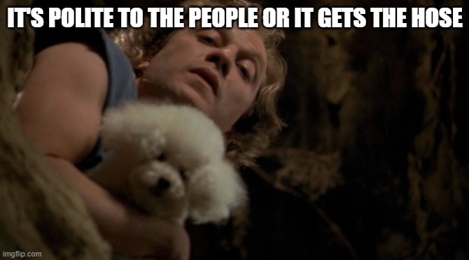 New Rule for social app comedy | IT'S POLITE TO THE PEOPLE OR IT GETS THE HOSE | image tagged in buffalo bill - it puts the lotion on it's skin or else it gets | made w/ Imgflip meme maker