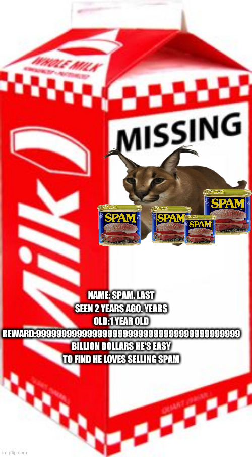 ?????? | NAME: SPAM. LAST SEEN 2 YEARS AGO. YEARS OLD:1 YEAR OLD
REWARD:9999999999999999999999999999999999999999 BILLION DOLLARS HE'S EASY TO FIND HE LOVES SELLING SPAM | image tagged in missing,floppa | made w/ Imgflip meme maker